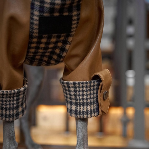 Fancy Checked Jacket for dog NEW - Picture 4 of 5